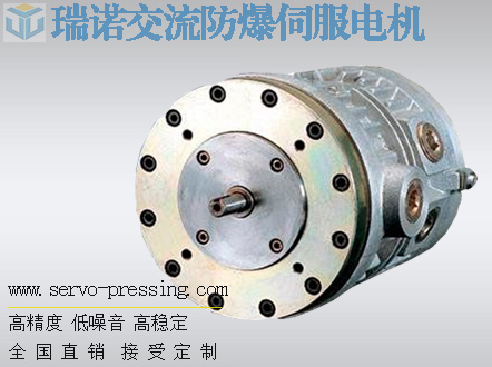 瑞諾交流防爆伺服電機(jī)