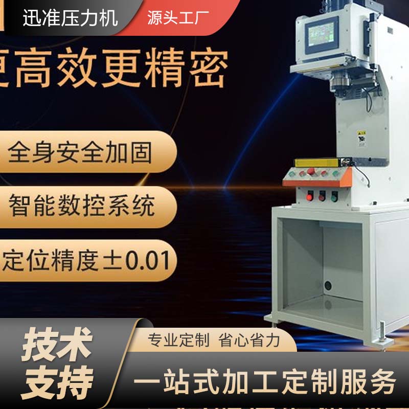 簡易C型伺服壓力機設備 迅準伺服壓裝系統(tǒng) 標準伺服壓機廠家